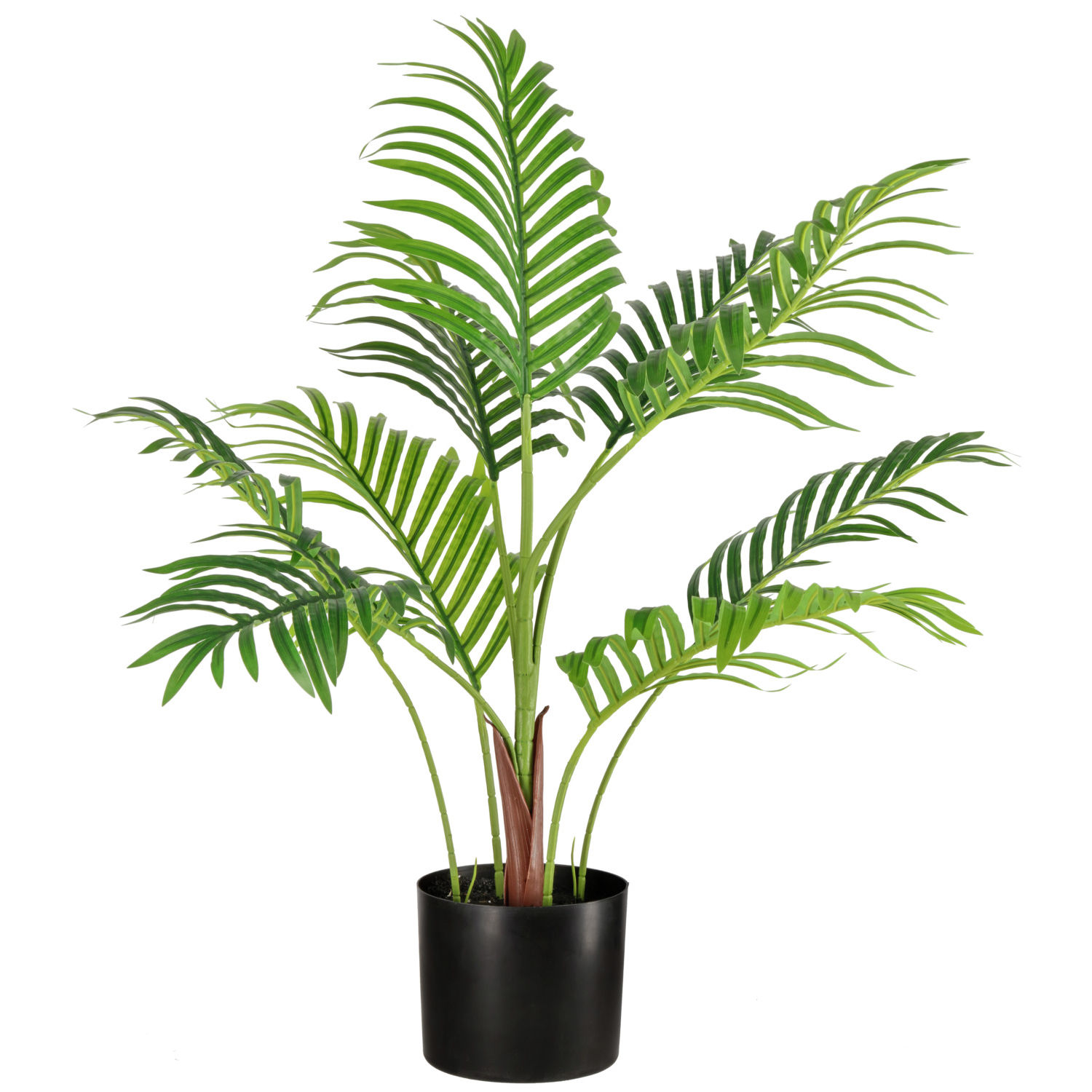 planzen_sicher-umziehen